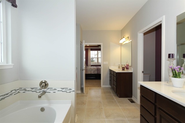 3652 Ancient Oak Dr, Elgin, IL 60124 photo 11