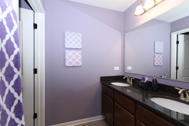 3652 Ancient Oak Dr, Elgin, IL 60124 photo 21
