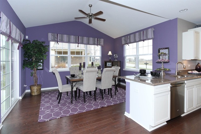 3652 Ancient Oak Dr, Elgin, IL 60124 photo 6