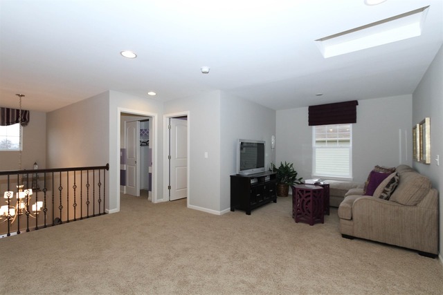3652 Ancient Oak Dr, Elgin, IL 60124 photo 13