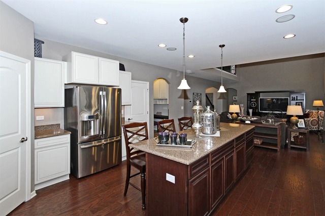 3652 Ancient Oak Dr, Elgin, IL 60124 photo 4