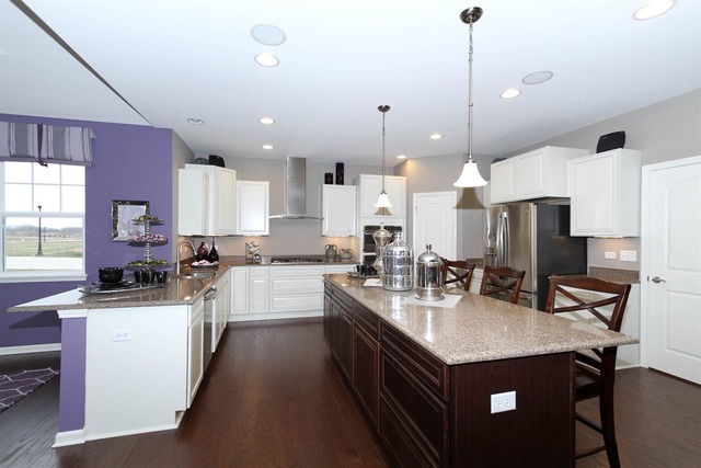 3652 Ancient Oak Dr, Elgin, IL 60124 photo 3