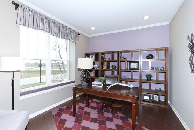 3652 Ancient Oak Dr, Elgin, IL 60124 photo 1