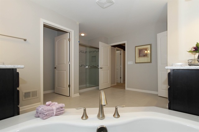 3652 Ancient Oak Dr, Elgin, IL 60124 photo 19