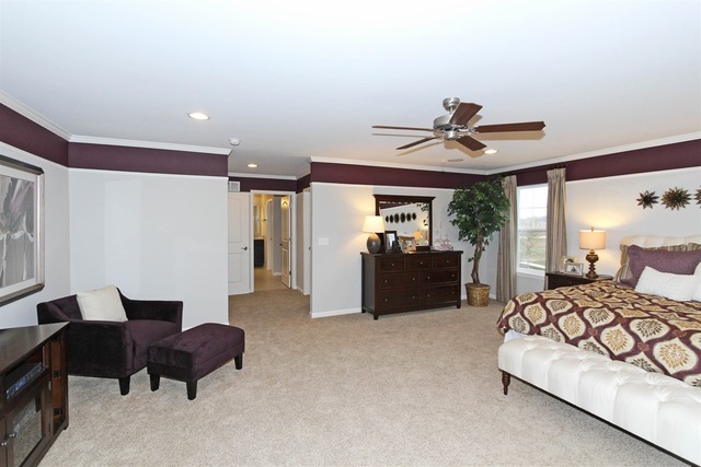 3652 Ancient Oak Dr, Elgin, IL 60124 photo 16