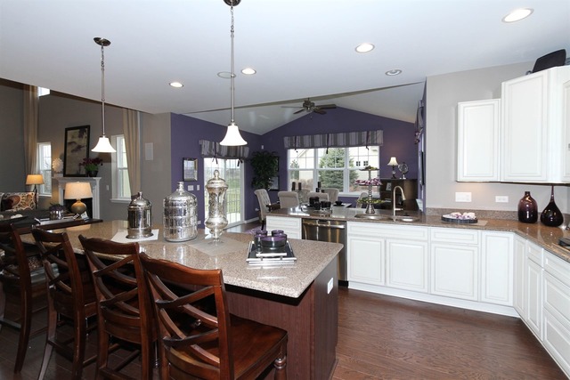 3652 Ancient Oak Dr, Elgin, IL 60124 photo 5