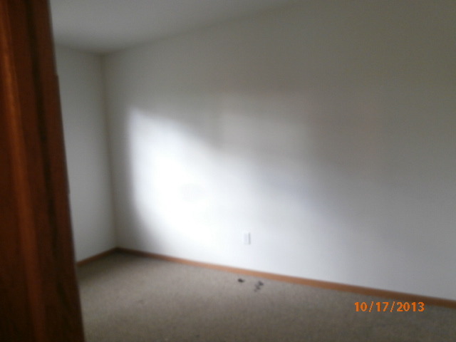 596 Moore St, Kankakee, IL 60901 photo 10