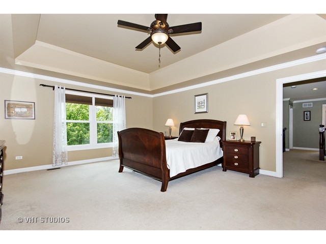 4408 Esquire Cir, Naperville, IL 60564 photo 12