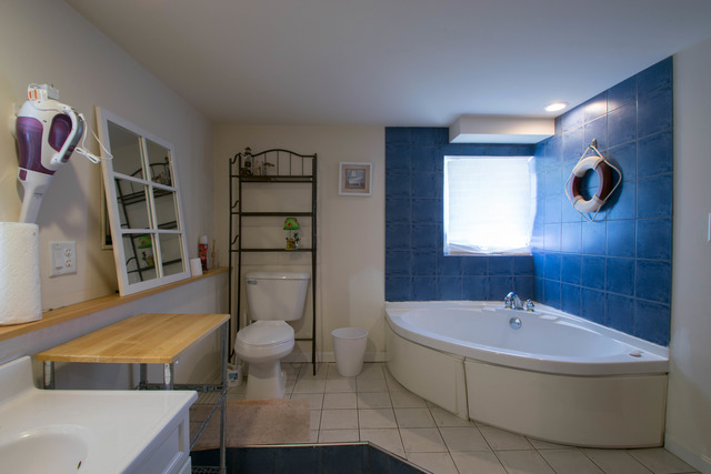 7533 Thomas Ave, Bridgeview, IL 60455 photo 23
