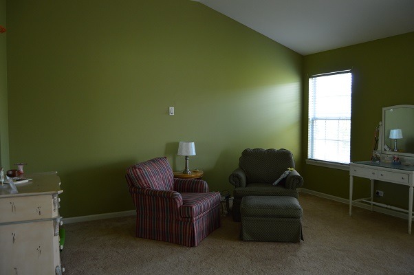 2439 Stonegate Rd, Algonquin, IL 60102 photo 13