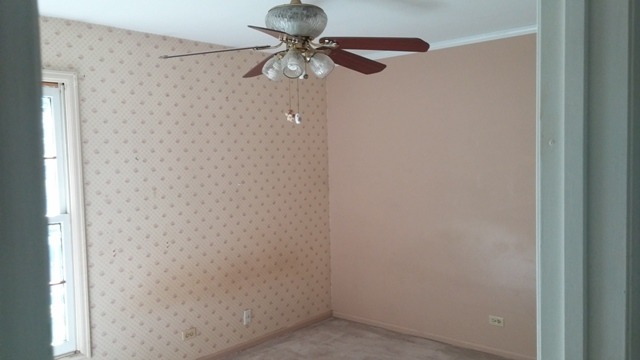 805 Grant St, Bartlett, IL 60103 photo 5