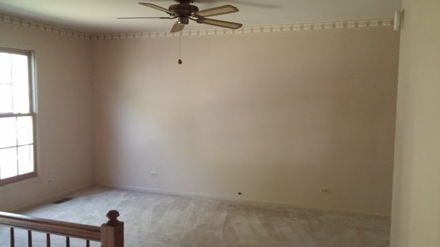 805 Grant St, Bartlett, IL 60103 photo 8