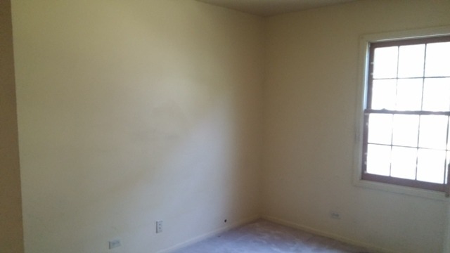 805 Grant St, Bartlett, IL 60103 photo 9