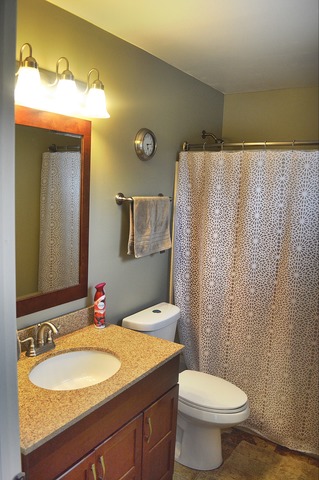 1609 Courtwright Dr, Plainfield, IL 60586 photo 14