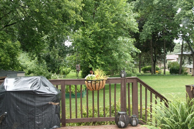 122 W Maple Ave, Roselle, IL 60172 photo 22
