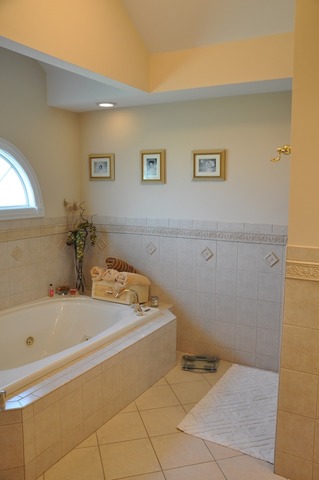 122 W Maple Ave, Roselle, IL 60172 photo 7