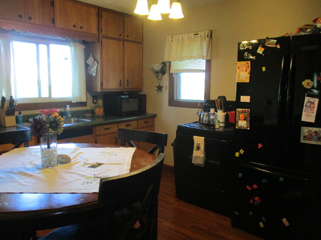 105 E North St, Danforth, IL 60930 photo 3
