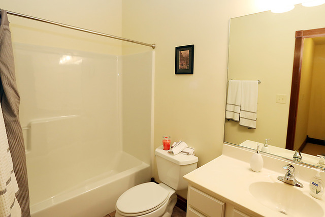 646 Robin Rdg, Elgin, IL 60123 photo 19