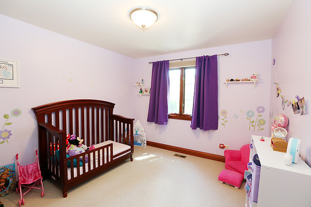 646 Robin Rdg, Elgin, IL 60123 photo 13
