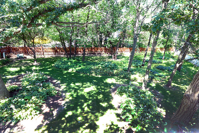646 Robin Rdg, Elgin, IL 60123 photo 23