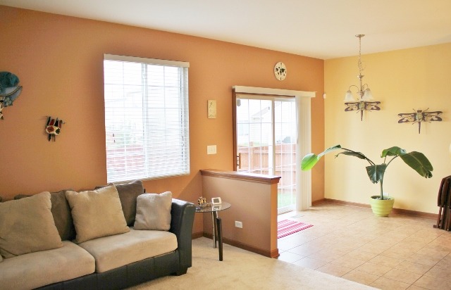 748 Beethoven St, Round Lake, IL 60073 photo 9
