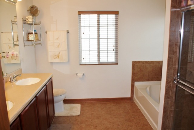 748 Beethoven St, Round Lake, IL 60073 photo 17