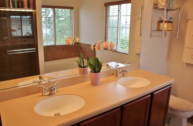 748 Beethoven St, Round Lake, IL 60073 photo 18