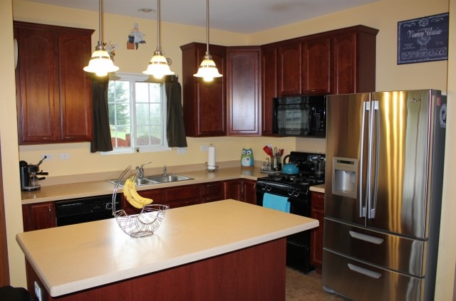 748 Beethoven St, Round Lake, IL 60073 photo 12