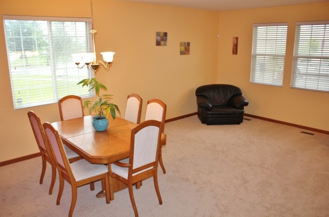 748 Beethoven St, Round Lake, IL 60073 photo 6