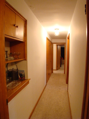115 N Mclean Blvd, Elgin, IL 60123 photo 16