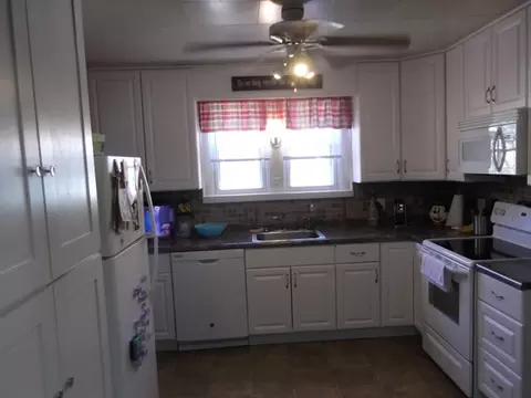 327 E Devlin St, Spring Valley, IL 61362 photo 5
