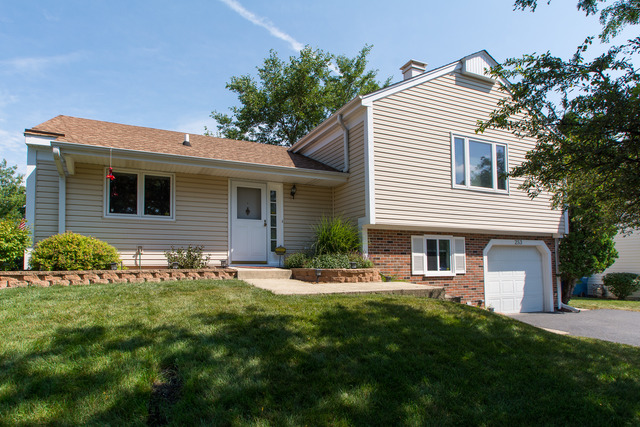 253 Hill Ave, Bartlett, IL 60103 photo 1