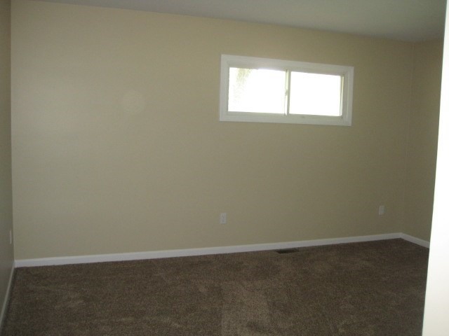 520 W Eureka St, Braidwood, IL 60408 photo 5