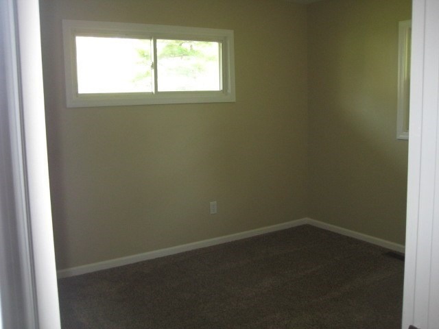 520 W Eureka St, Braidwood, IL 60408 photo 7