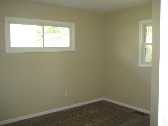 520 W Eureka St, Braidwood, IL 60408 photo 6