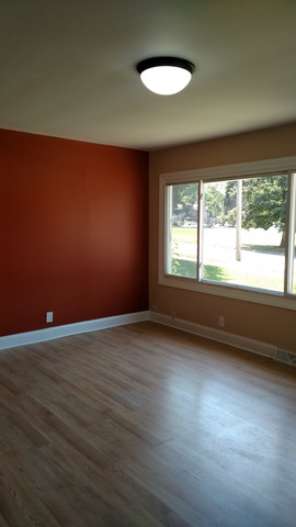 124 Bluff St, Aurora, IL 60505 photo 3