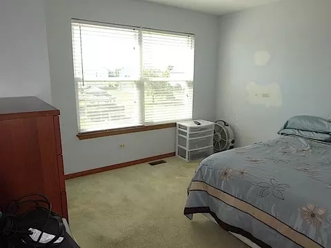 1911 Ridge Moor Dr, Plainfield, IL 60586 photo 22