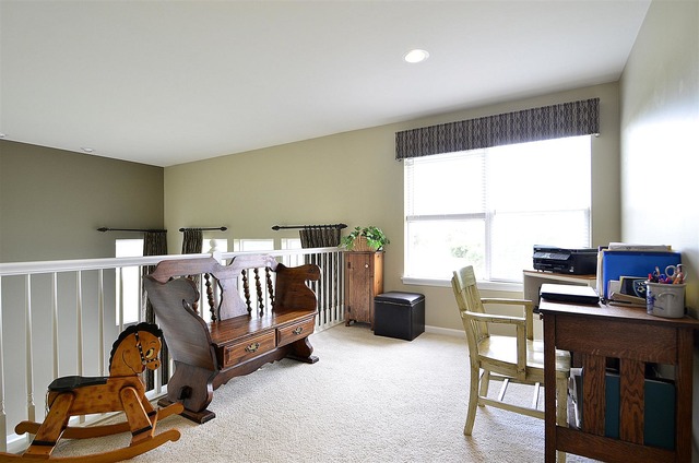 3106 Kyra Ln, Elgin, IL 60124 photo 11