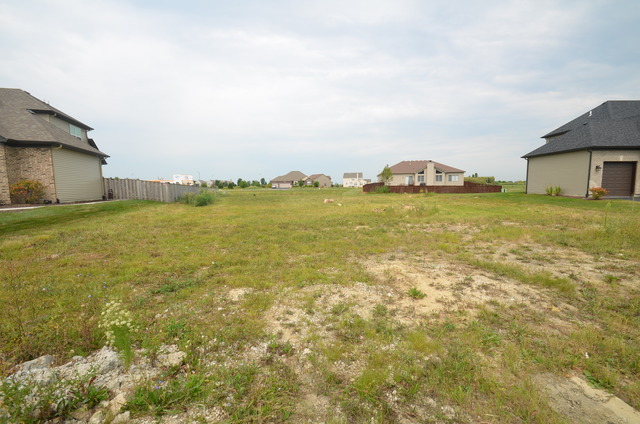 15726 Creekview Dr, Plainfield, IL 60544 photo 4