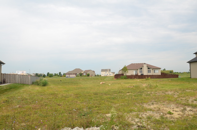 15726 Creekview Dr, Plainfield, IL 60544 photo 2