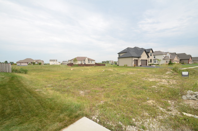 15726 Creekview Dr, Plainfield, IL 60544 photo 5