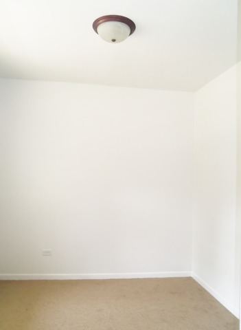403 N Porter St, Elgin, IL 60120 photo 10