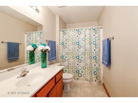 5602 W Sutton Pl #A, Monee, IL 60449 photo 15