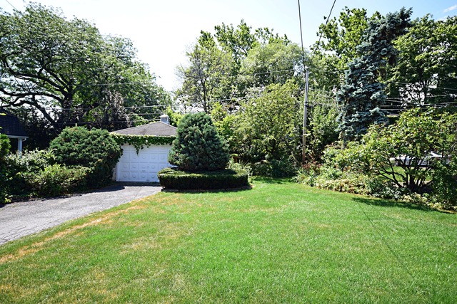 280 E Adelia St, Elmhurst, IL 60126 photo 22