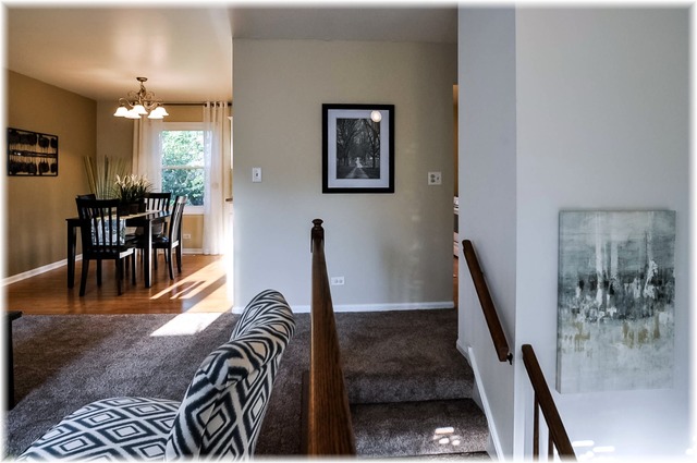 827 S Cleburne Ave, Bartlett, IL 60103 photo 1