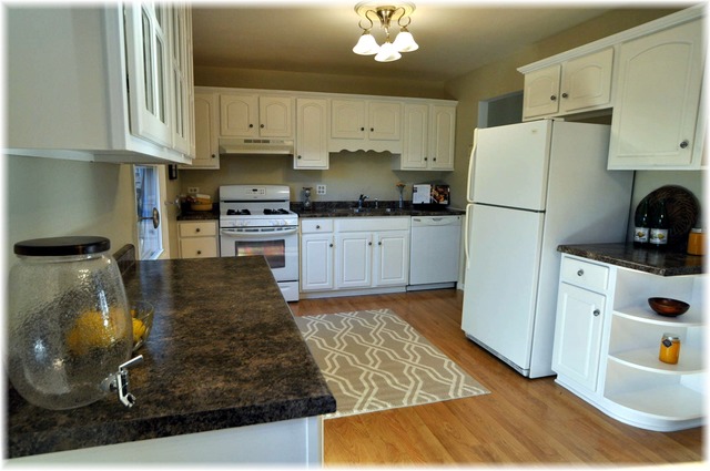 827 S Cleburne Ave, Bartlett, IL 60103 photo 6