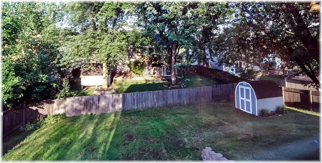 827 S Cleburne Ave, Bartlett, IL 60103 photo 23