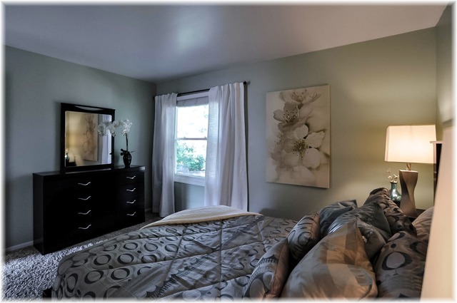 827 S Cleburne Ave, Bartlett, IL 60103 photo 8
