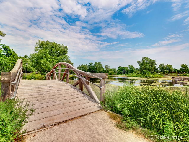901 Wheaton Oaks Dr, Wheaton, IL 60187 photo 23