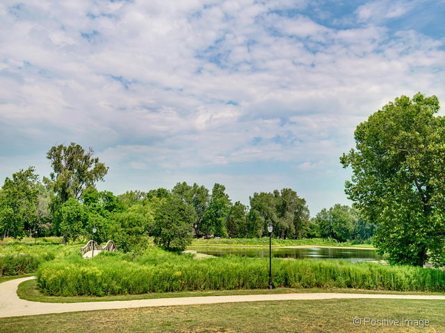 901 Wheaton Oaks Dr, Wheaton, IL 60187 photo 22
